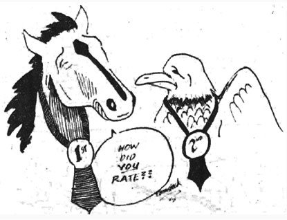 number 1 horse