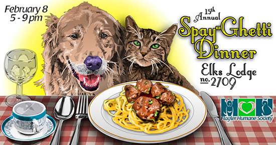 spayghetti