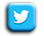 icon_twitter